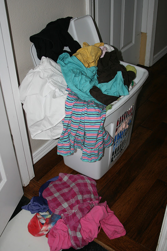 Laundry Schmaundry - The Laundry Hamper Rules! ~ Mindy Peltier