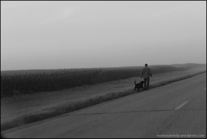 The Road Walker