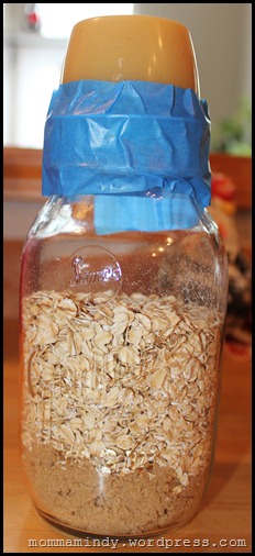 Oatmeal Jars 008