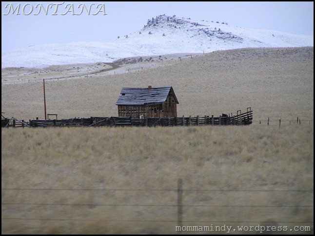 Montana Shack