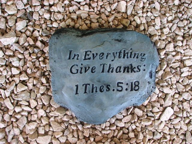 Give Thanks IN…