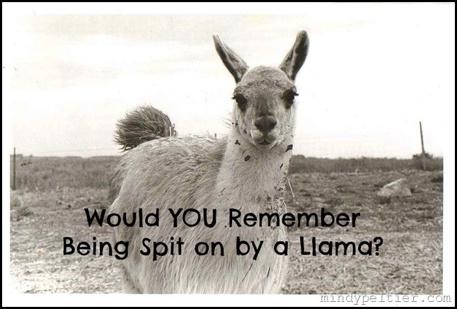Would YOU Remember Being Spit on by a Llama?
