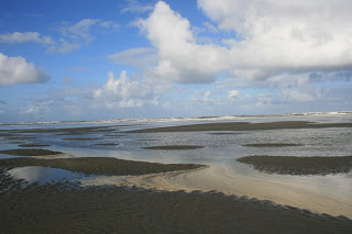 The Soothing Shores of Ocean Shores