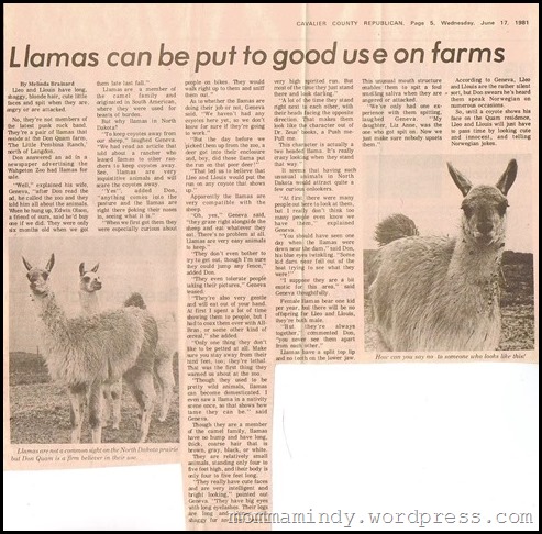 LLAMAS2 Stitch