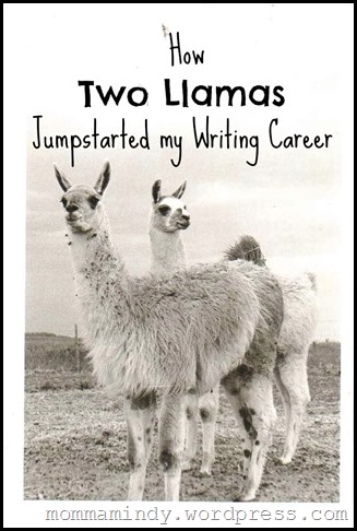 How Two Llamas Jumpstarted my Writing Career