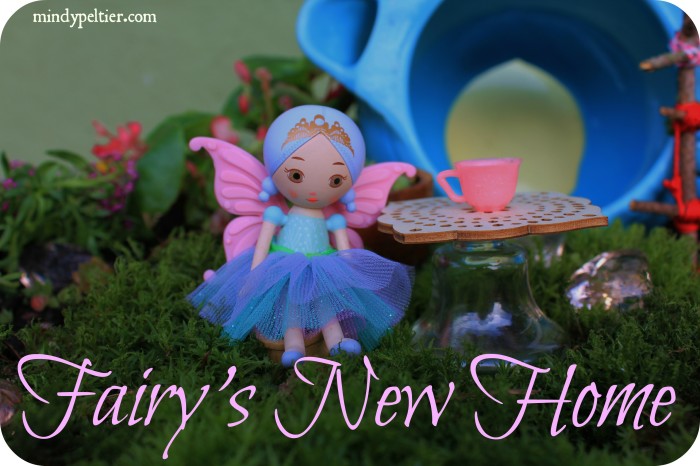 Fairy's New Home