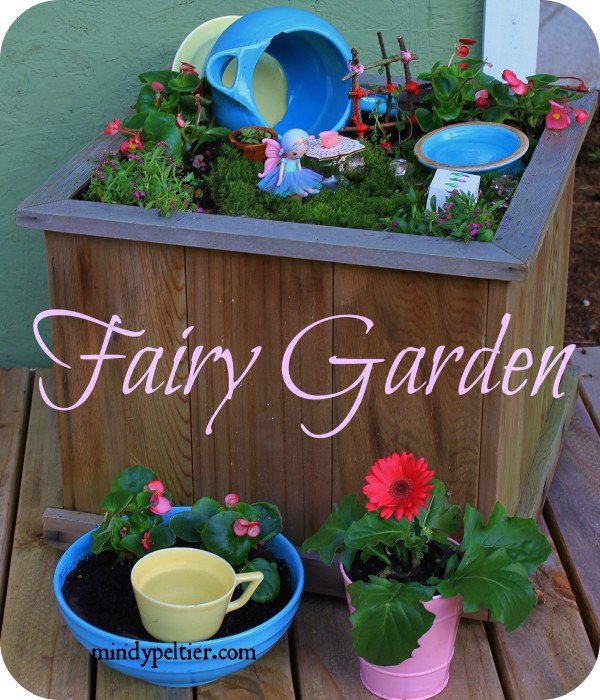 Final Fairy Garden pm