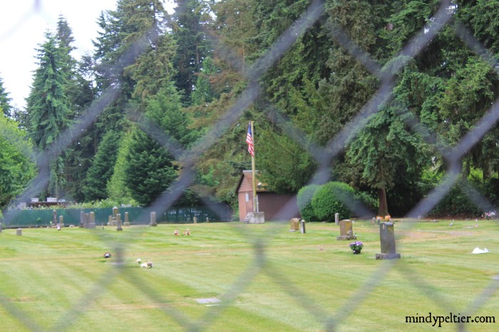 Cemetery thru fence pm