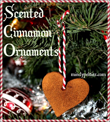 Scented Cinnamon Ornament pm 040