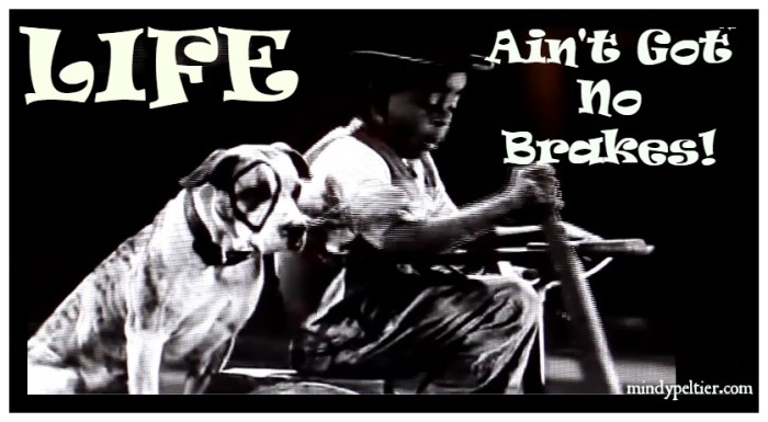 Life Ain't Got No Brakes!