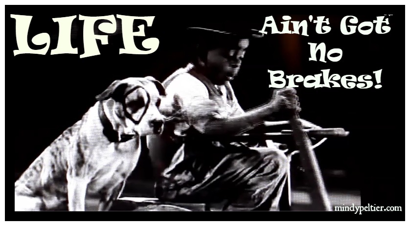 Life Ain’t Got No Brakes!