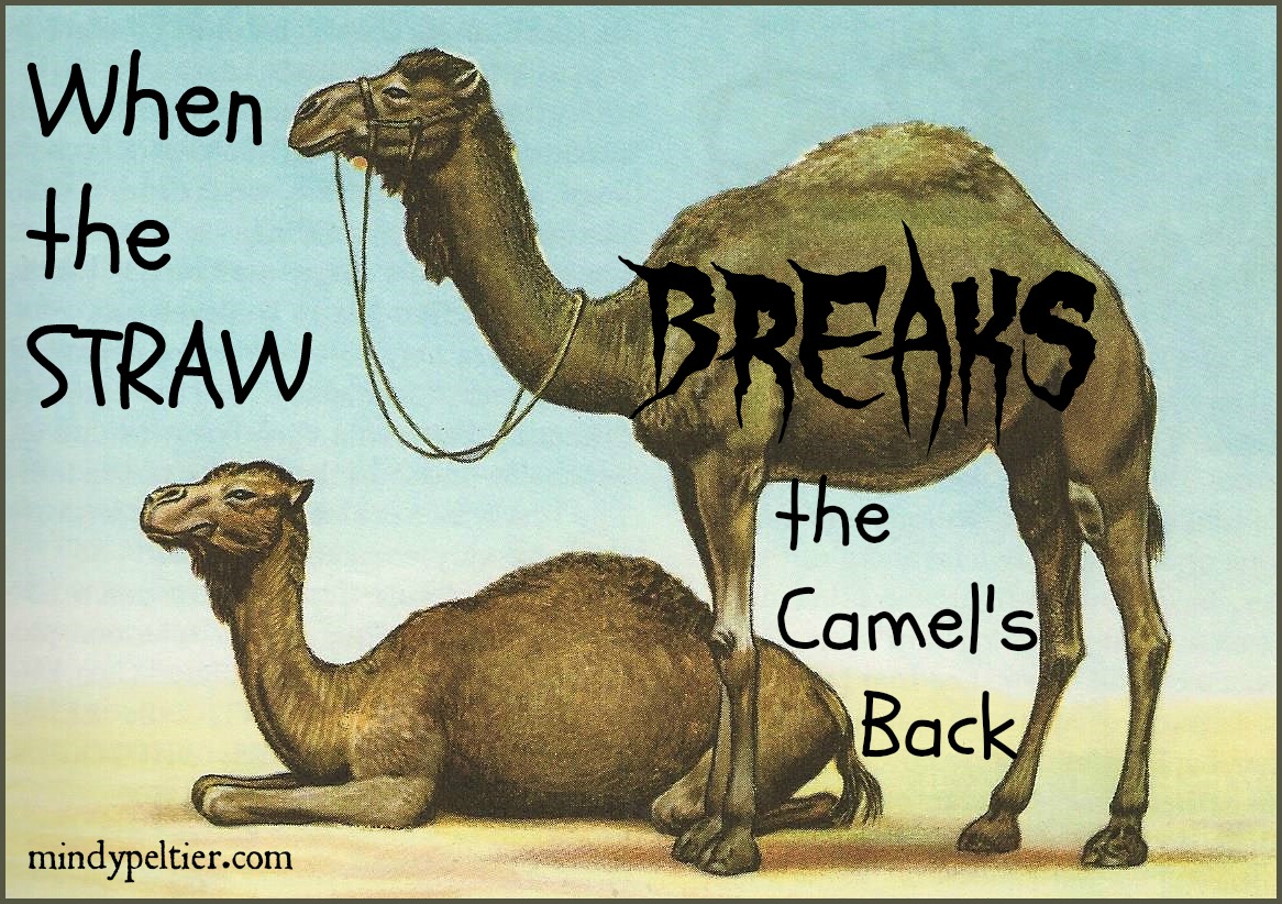 When the Straw Breaks the Camel’s Back