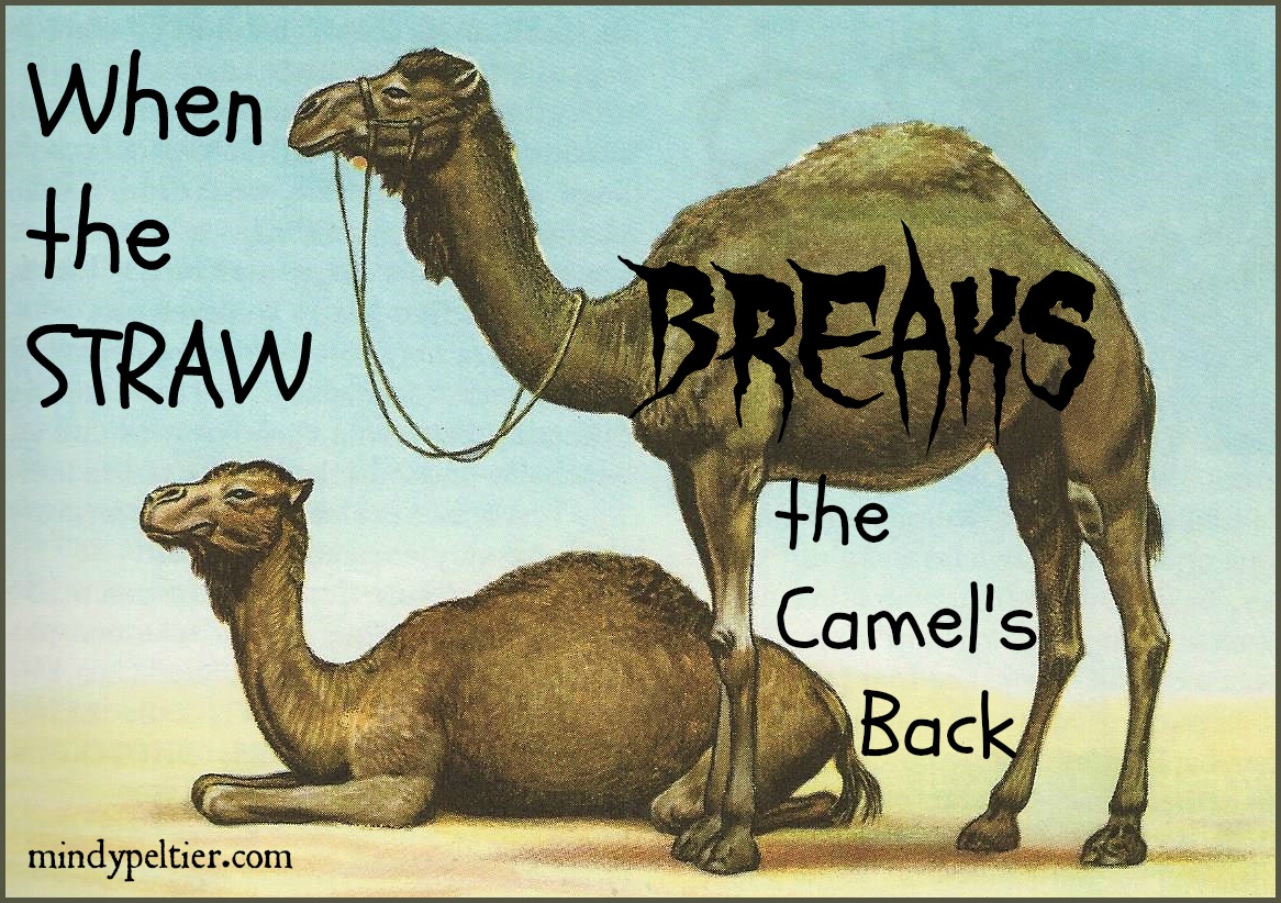 When The Straw Breaks The Camel S Back Mindy Peltier