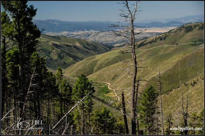 magpie-gulch-montana-mindyjpeltier